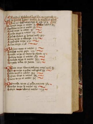 Registrum alphabeticum. Registrum alphabeticum huius libri ex passionale et etiam ex speculis historis[sic] Vincencii de virginibus et viduis tantum.