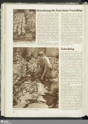 Ausnutzung der Beete durch Fruchtfolge