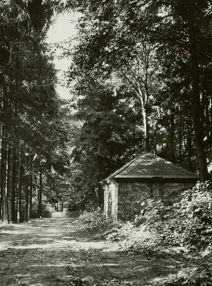 Nossen-Augustusberg, Zeche Fröhlicher Sonnenblick Erbstollen, Pulverhaus, im Wald über der Freiberger Mulde
