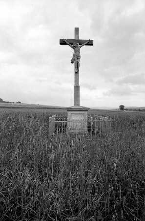Wegekreuz (Wegekreuz); Eiterfeld, Am Niederstein