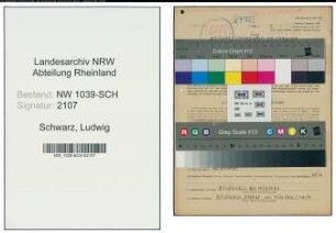 Entnazifizierung Ludwig Schwarz , geb. 07.03.1920 (Landwirt)