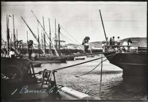 Cannes. Entladung eines Schiffes im Hafen