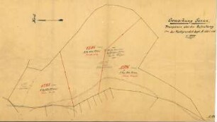 Gesuch der Johann Georg Schrodi Eheleute Erben um Genehmigung zur Lostrennung verschiedener Waldgrundstücke von deren geschlossenen Hofgut in Sexau sowie zur Einverleibung solcher in selbiges