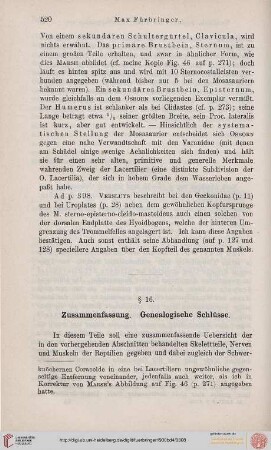 § 16. Zusammenfassung. Genealogische Schlüsse