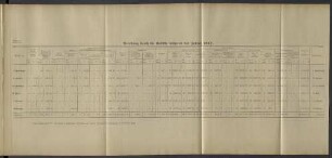 Belastung durch die Unfälle während des Jahres 1917.
