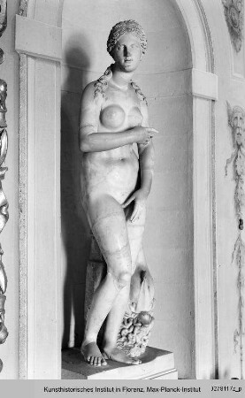 Venus (Kopf antik)