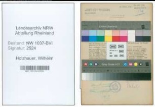 Entnazifizierung Wilhelm Holzhauer , geb. 05.08.1890 (Telegrafensekretaer)