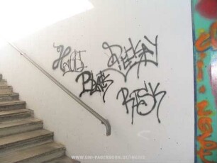 HauBI BLACK DEEKAY RISK