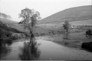 Geisingen: Donau im Herbstlicht