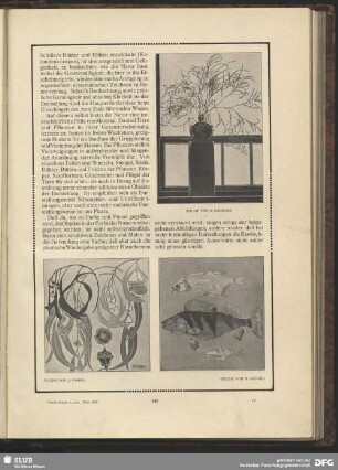 Naturstudien