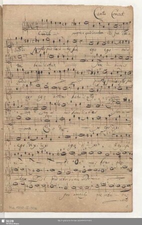 Canto Concert: