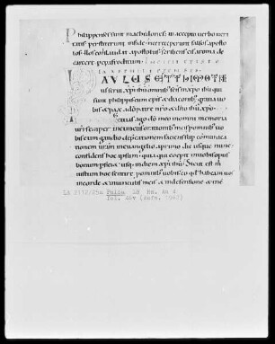Paulusbriefe — Initiale P(aulus), Folio 46verso