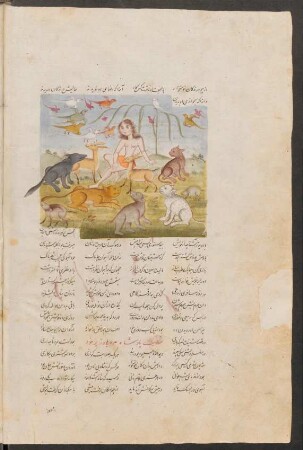 Illustration: Maǧnūn in der Wildnis