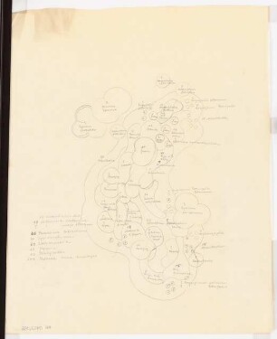 Bundesgartenschau 1955, Kassel: Pflanzplan
