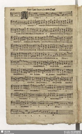 XIV. Alleluia kommet her und schauet an
