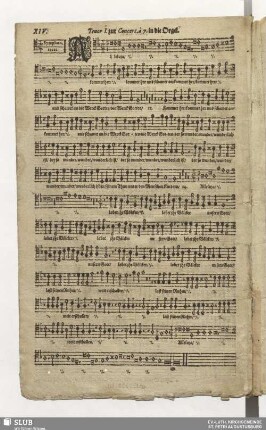 XIV. Alleluia kommet her und schauet an