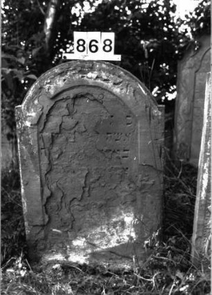 Grabstein 868