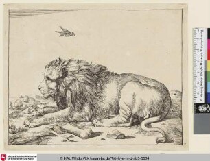[Un lion couché, vu de profil, et dirigé vers la gauche; Ein liegender Löwe im Profil nach links, über seinen Kopf fliegt ein Vogel]