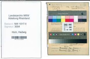 Entnazifizierung Hedwig Horn , geb. 04.11.1904 (Damenschneidermeisterin)
