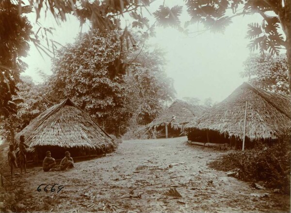 "Residential buildings. Malekula."