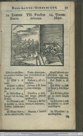 XII. Fructus Arborum