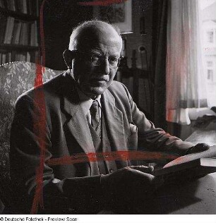 Portraitserie Hermann Staudinger
