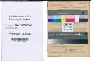 Entnazifizierung Wilhelm Wellmann , geb. 11.08.1901 (Kraftfahrer)