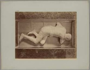 Pompei: (Museo) Cadavere d'uomo, No. 5579