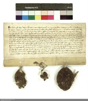 Albert [von Hornsberg], Propst von Neuenberg, Dechant Wigand und der Konvent von Neuenberg überlassen Dechant und Konvent von Petersberg gegen Güter in Alppehohes im Einzelnen aufgeführte Einkünfte