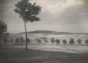 Kottmar. Ansicht von Süden (von der Hetzmühle bei Hetzwalde)