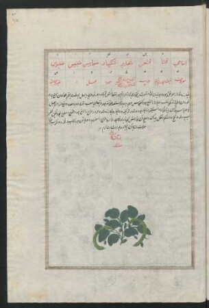 Illustration: f. 92r-119r