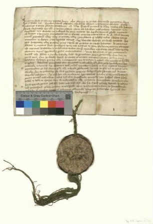 Herzog Barnim [III.] von Pommern [-Stettin] bestätigt dem Kloster Chorin die Urkunden seiner Vorgänger über die Zollfreiheit in seinen Landen (s. Urkunde von 1296 September 12).