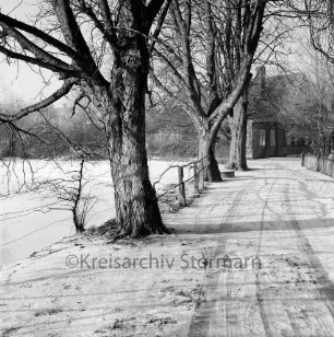 Klinkener Weg: links Klinkener Mühlenteich mit Baumreihe: im Hintergrund Klinkener Mühle: Winter