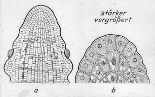 Schulungsmaterial/Lehrmittel: Dia-Serien über 1. allgemeine Vererbungslehre, 2. Weidewirtschaft (AID Bad Godesberg)
