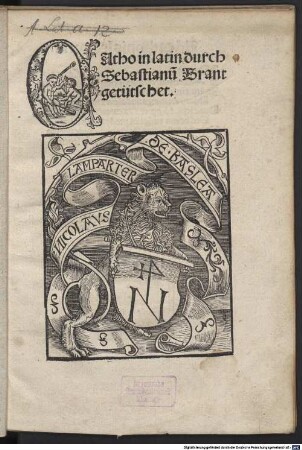 Catho in latin