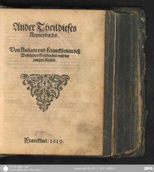 2 (1610): Artzneybuch, darinnen vast für alle des menschlichen Leibs Anligen und Gebrechen außerlesene und bewehrte Artzneyen zusamen getragen
