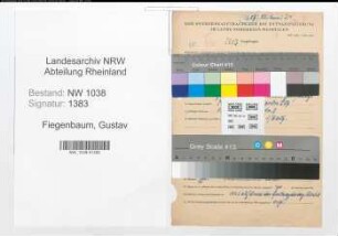 Entnazifizierung Gustav Fiegenbaum , geb. 08.09.1901 (Angestellter)