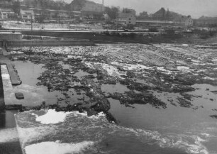Sohlbeschaffenheit bei Niedrigwasser der Staustufe Koblenz/Mosel