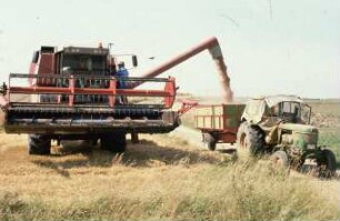 Fotografie: Mähdrusch, Mähdrescher selbstfahrend, Getreideerntetechnik, Be- und Entladen, Transport