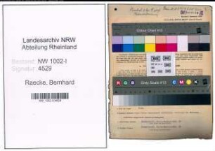 Entnazifizierung Bernhard Raecke, geb. 27.01.1901 (Prokurist)