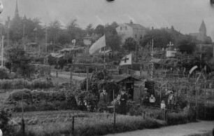 Schrebergarten