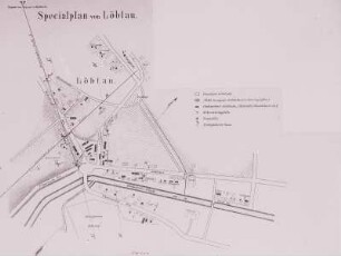 Dresden: Plan des Dorfes Löbtau mit Eintragung von Cholerafällen im Jahre 1873 (Specialplan von Löbtau)