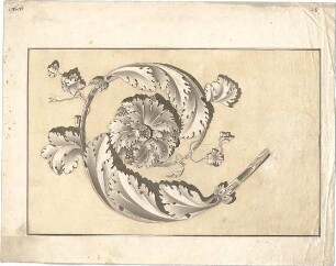 Zocher, Ernst; Studienzeichnungen nach Gipsen - florales Ornament (Ansicht)