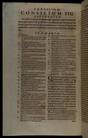 Consilium XIII.