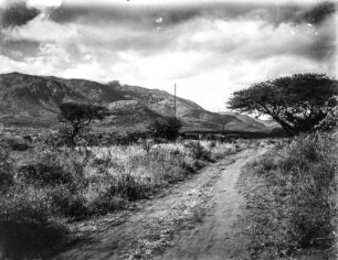 Weg in der Savanne : Ein Weg in der Savanne. Im Hintergrund ein Gebirgsmassiv