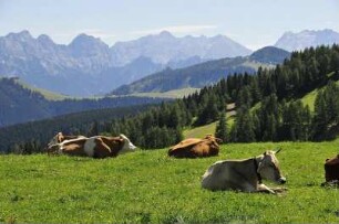 Waidring - Alpenlandschaft : Berggipfel der Tiroler Alpen bei Waidring, augenommen 2008