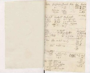 Auflistung von Ausgaben, wahrscheinlich für Mallebrain, von Karoline Luises Hand.