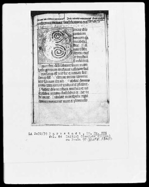 Psalterium — Initiale C (antate domino), Folio 84 recto