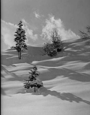 Winterbilder. Verschneiter Hang mit Nadelbäumen in Garmisch-Partenkirchen
