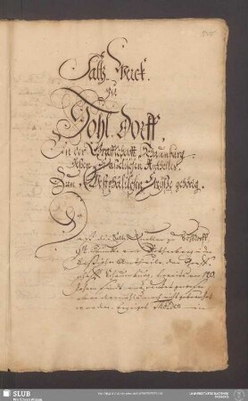 Saltz-Werck. zu Hohl-dorff, In der Graffschafft Schaumburg